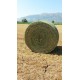 Fieno 2° Taglio